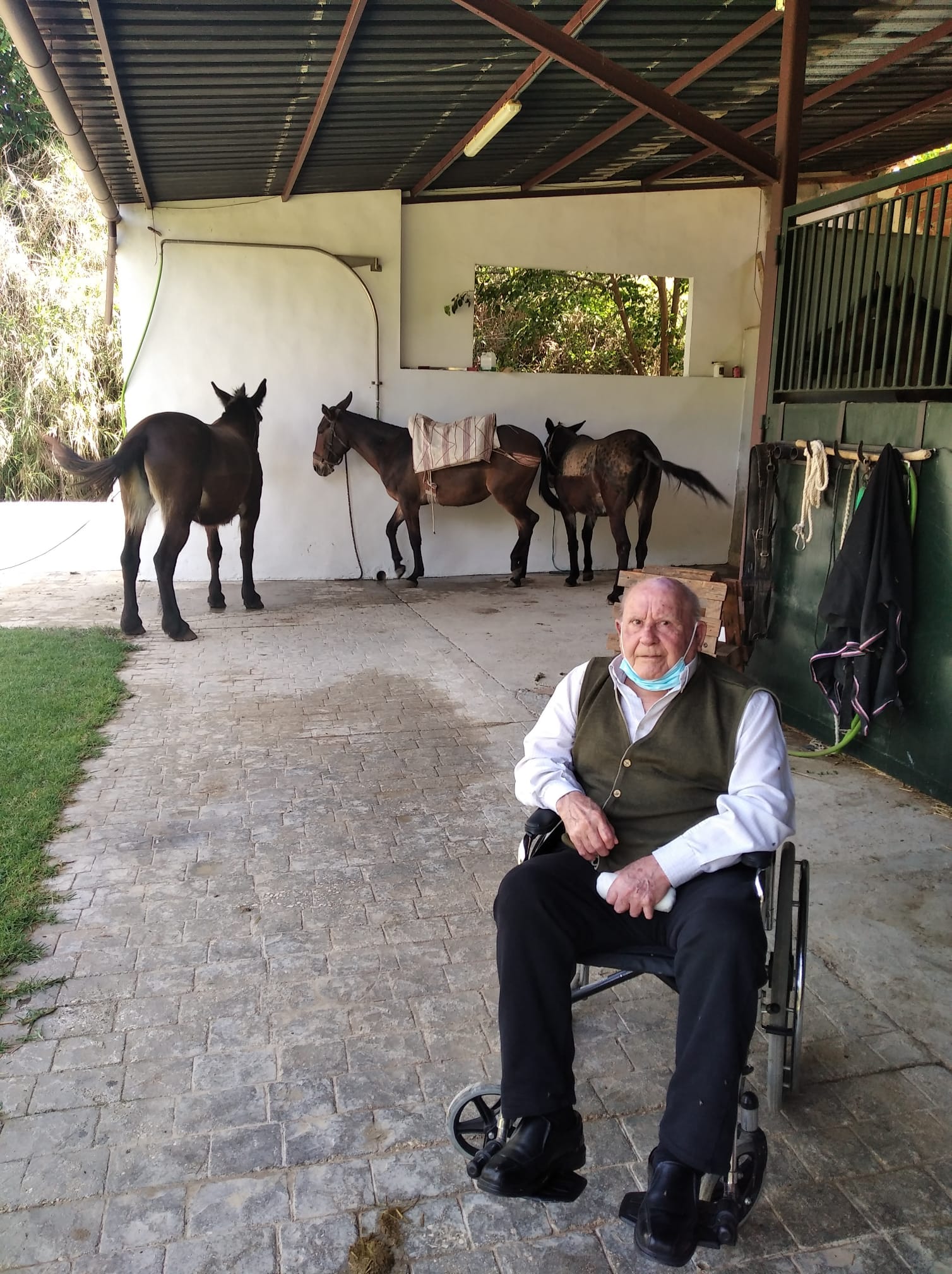 afademon-visita-granja-1