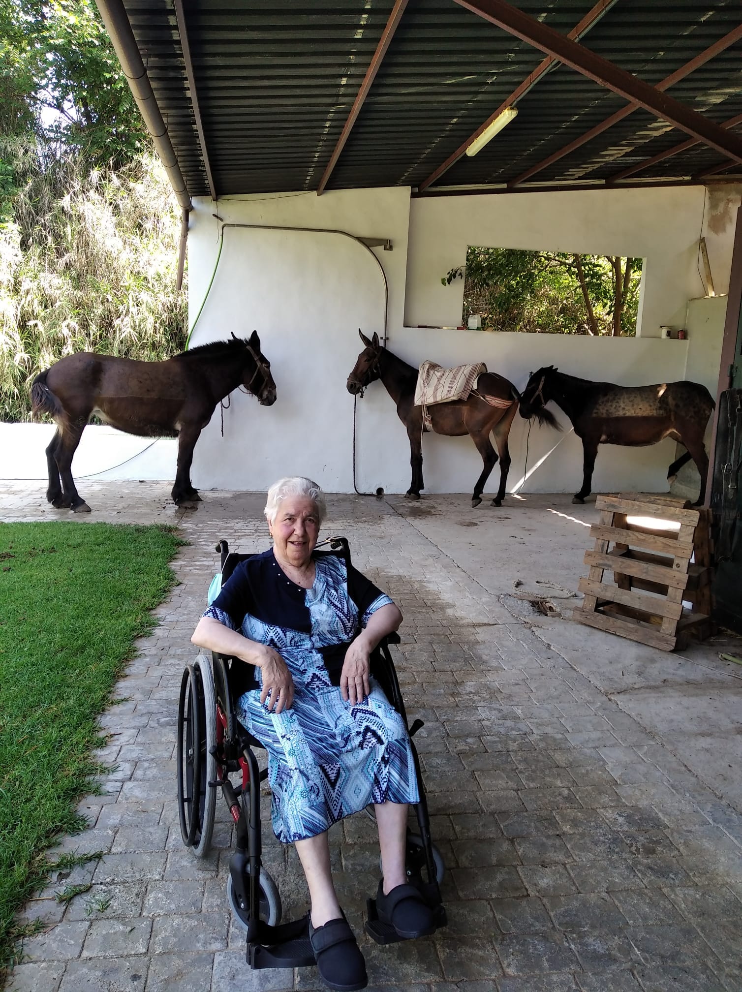 afademon-visita-granja-3