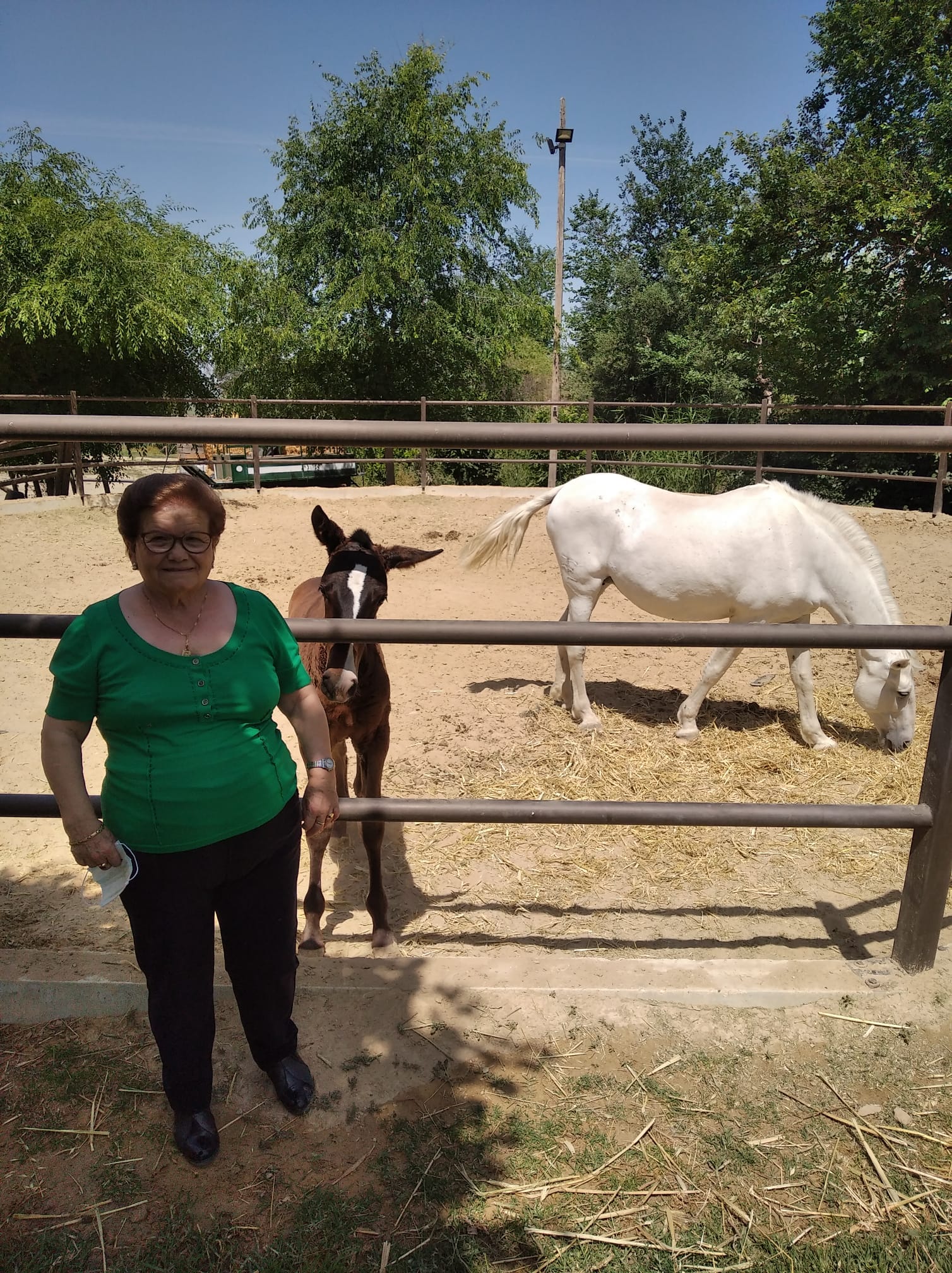 afademon-visita-granja-5