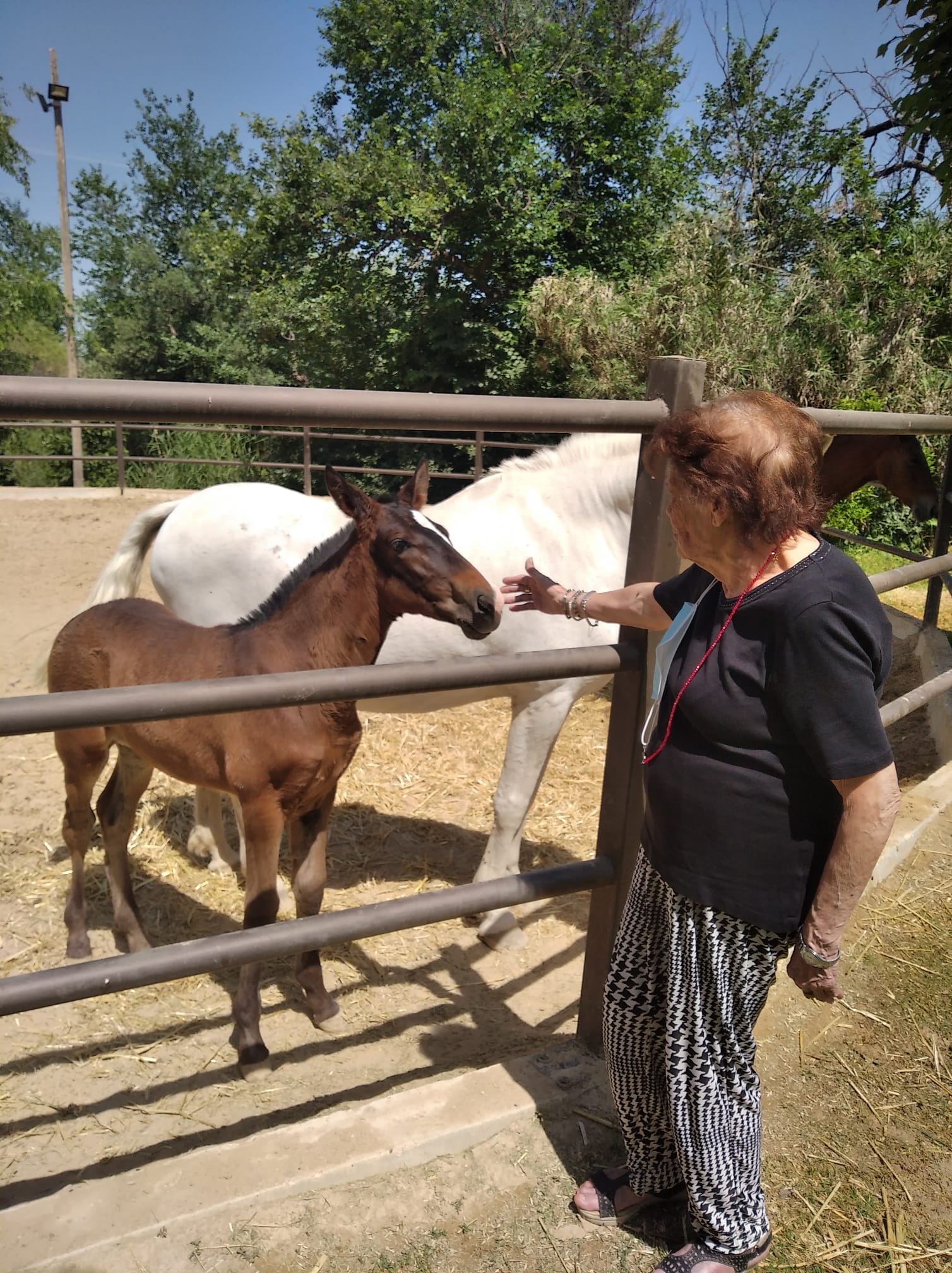 afademon-visita-granja